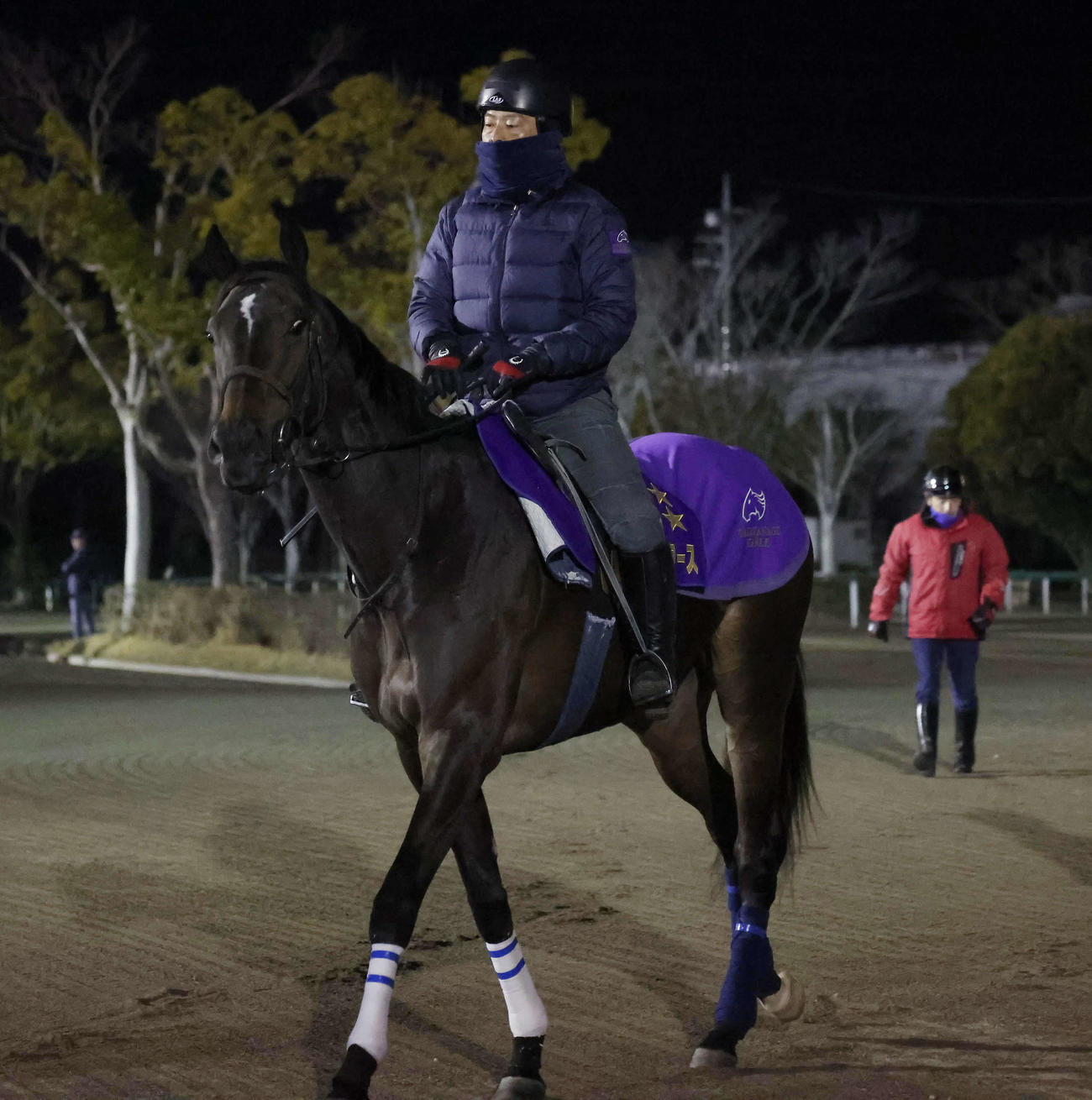 馬場へ向かうスターズオンアース（2024年3月20日撮影）