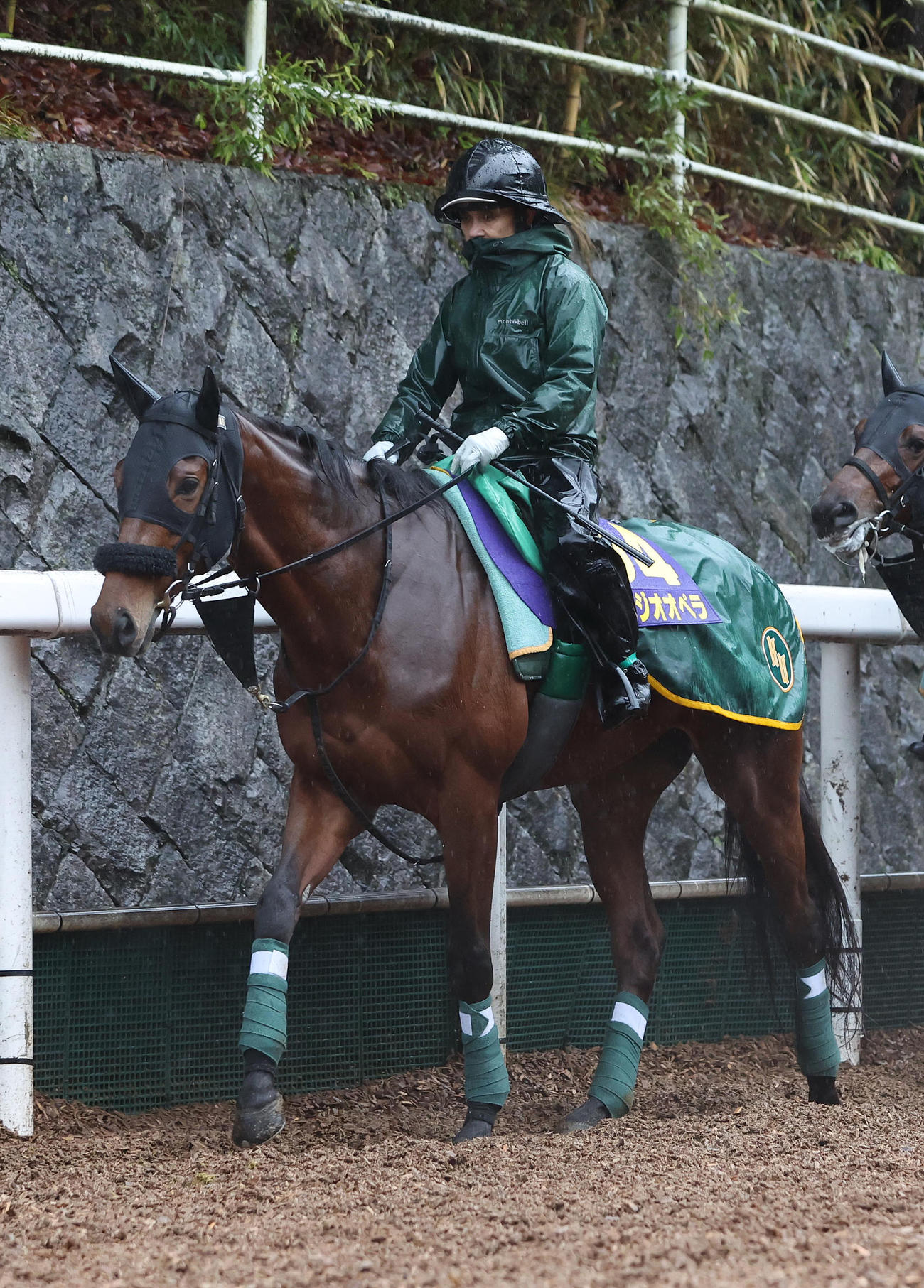逍遥馬道で運動するベラジオオペラ（撮影・白石智彦）