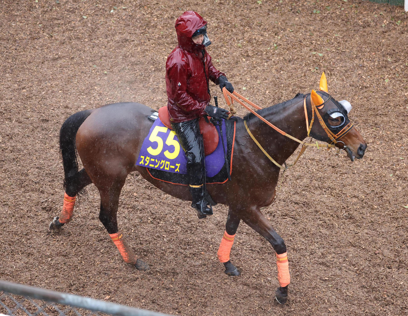 逍遥馬道で運動するスタニングローズ（撮影・白石智彦）
