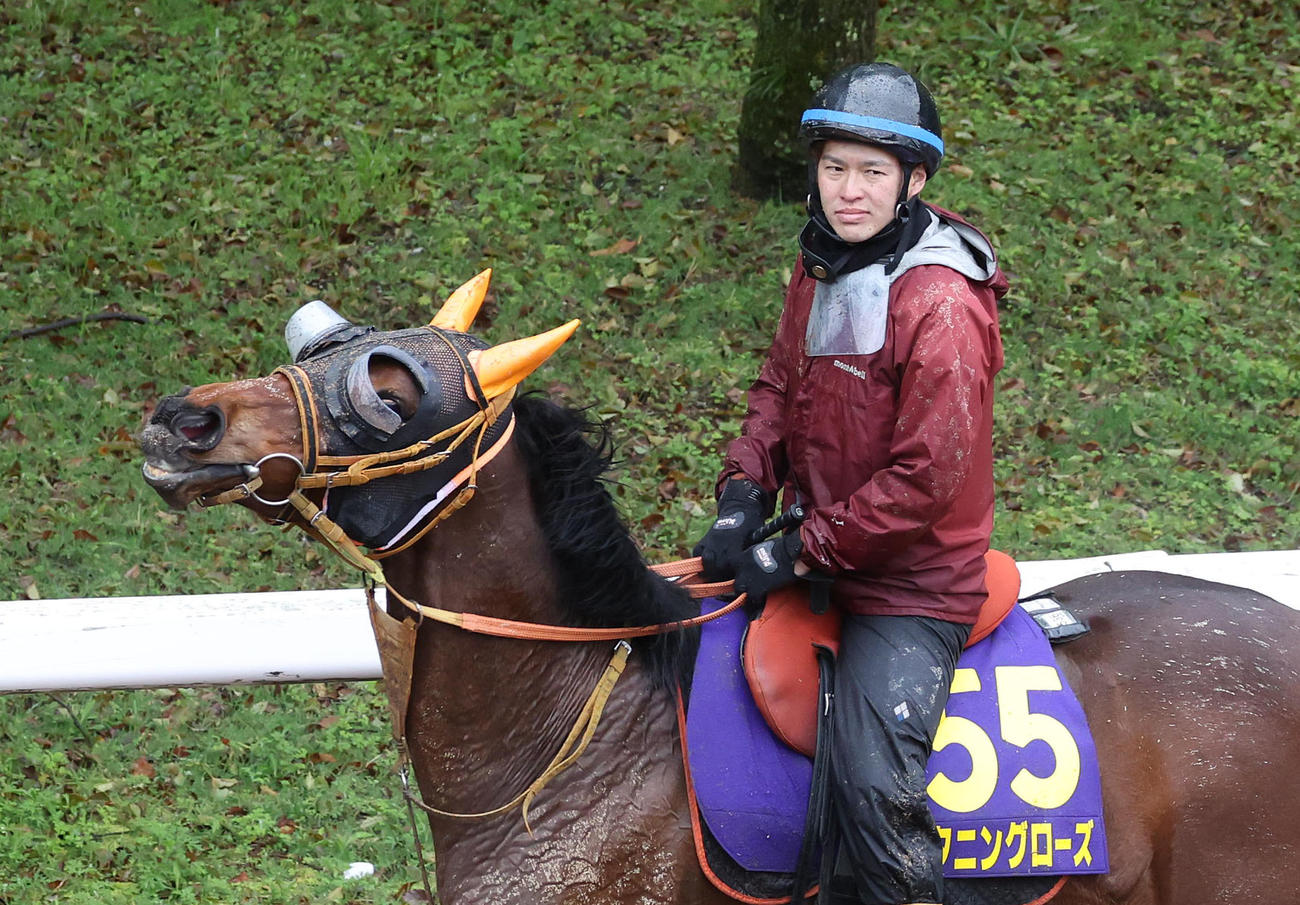 逍遥馬道で運動するスタニングローズ（撮影・白石智彦）