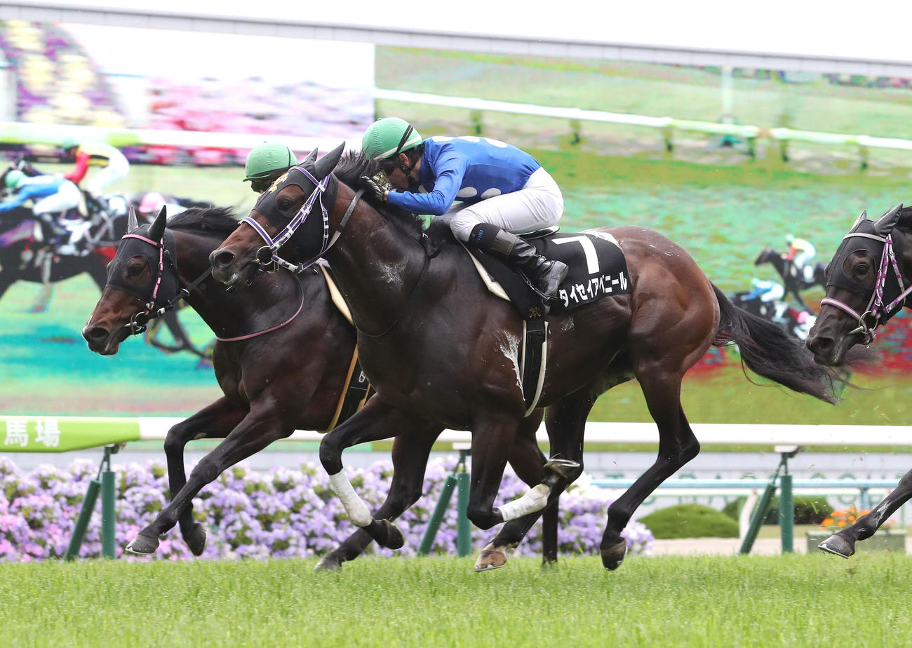 20年5月、ゴール前でトゥラヴェスーラ（左）を差し切って鞍馬Sを制したタイセイアベニール
