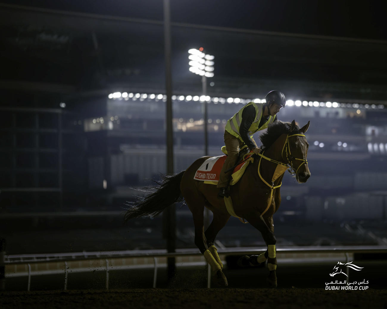 ドバイワールドCに向けてメイダン競馬場で調整するウシュバテソーロ（（C）Dubai Racing Club）
