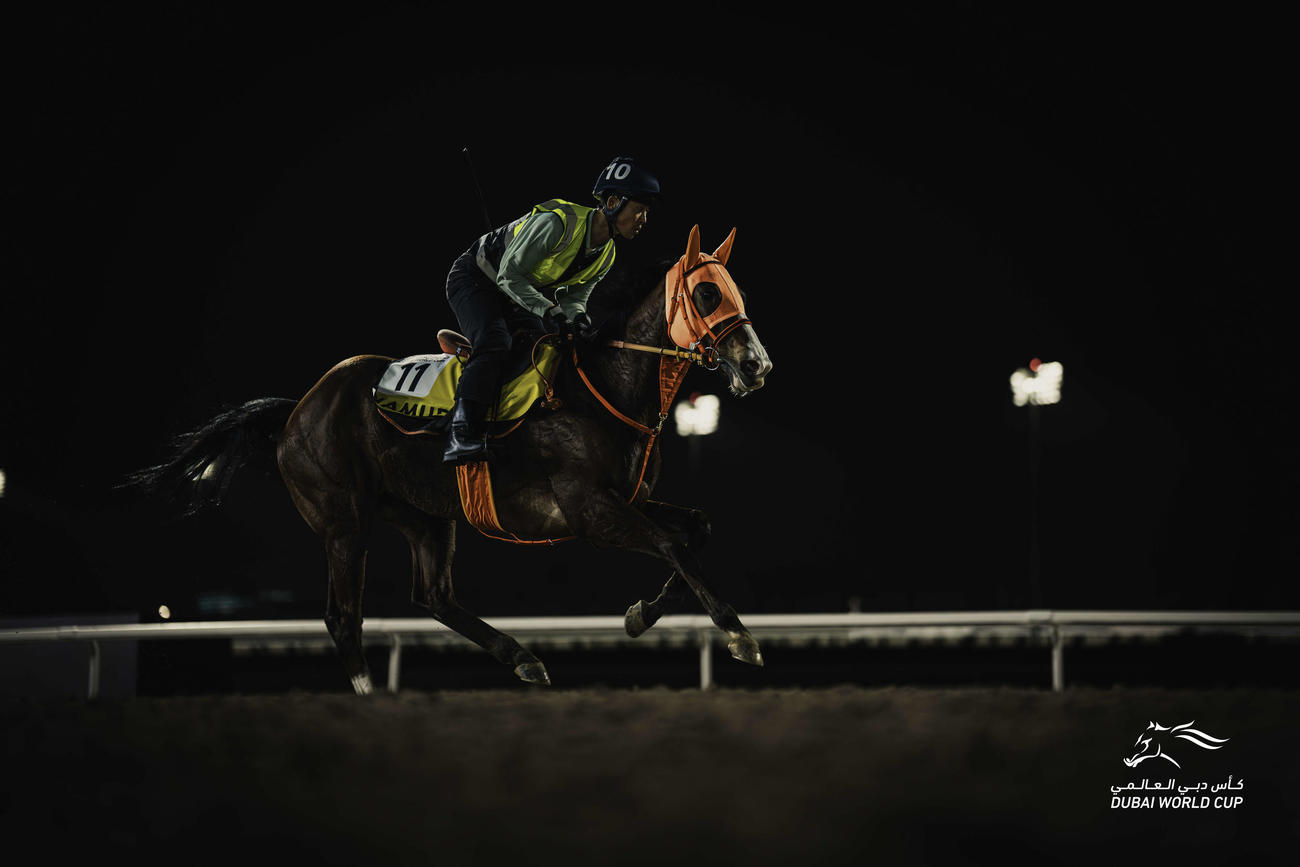 ドバイターフに向けてメイダン競馬場で調整するナミュール（C）Dubai Racing Club