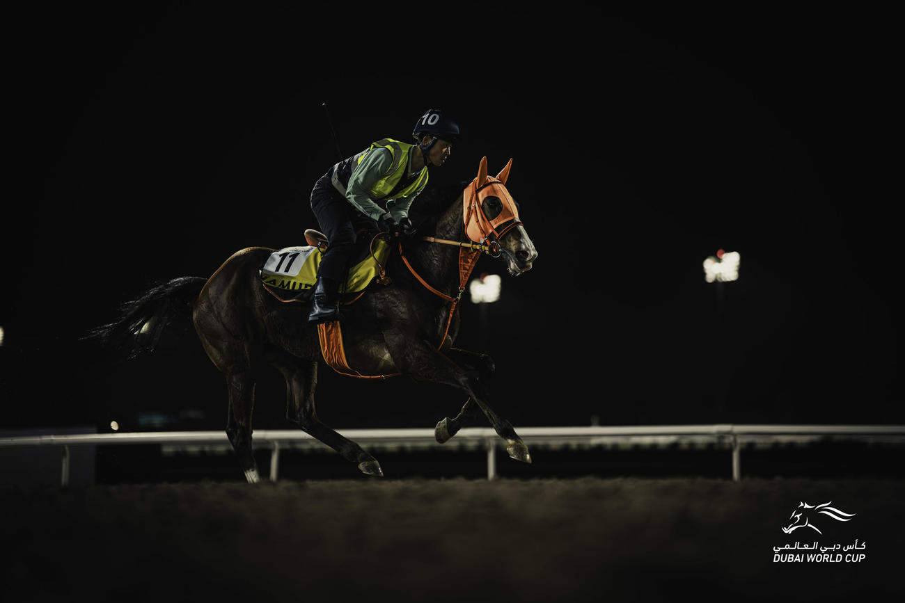 ドバイターフに向けて調整するナミュール（C）DubaiRacingClub