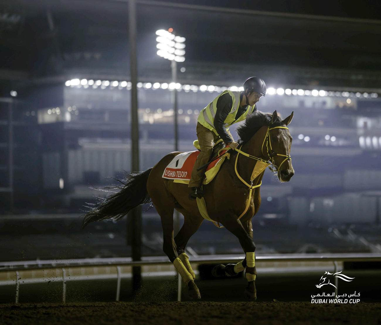 ドバイワールドCに向けてメイダン競馬場で調整するウシュバテソーロ（C）Dubai Racing Club