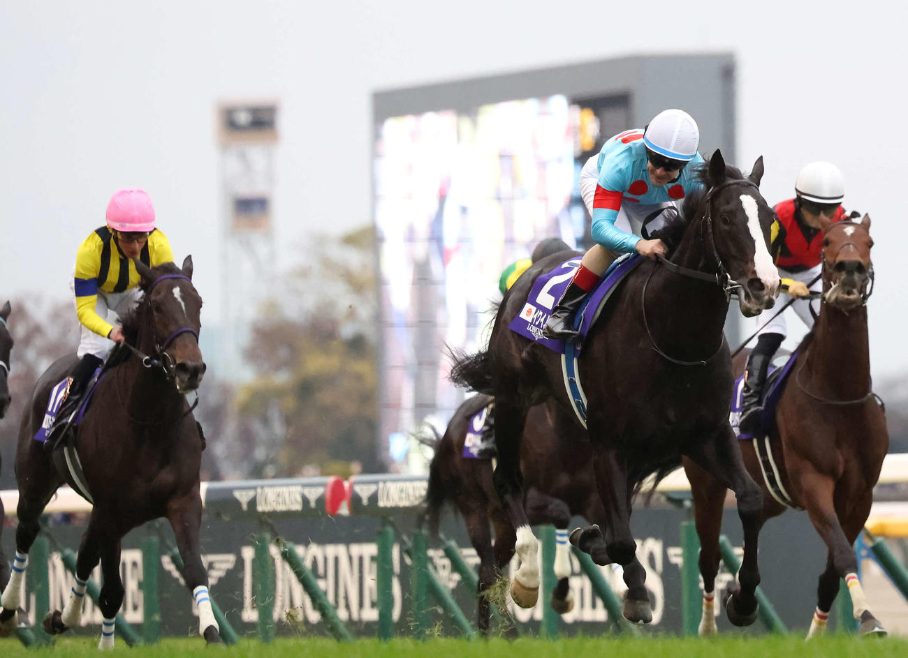 23年、ジャパンCを制したイクイノックス（中央）。右は2着リバティアイランド