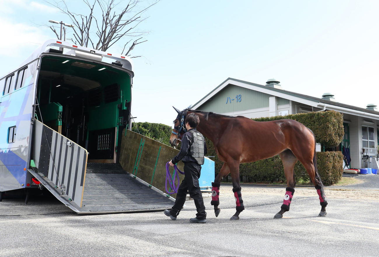 馬運車に乗り込むメイケイエール（撮影・白石智彦）