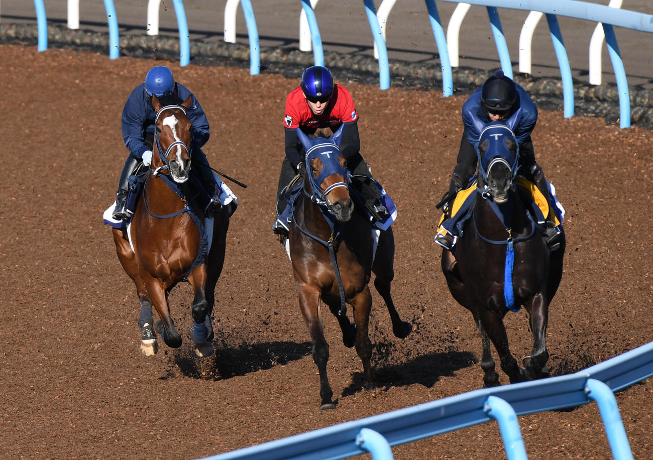 ソールオリエンス（左）はコンテソレーラ（中央）、ドゥラモンドと併せて追い切る（撮影・柴田隆二）