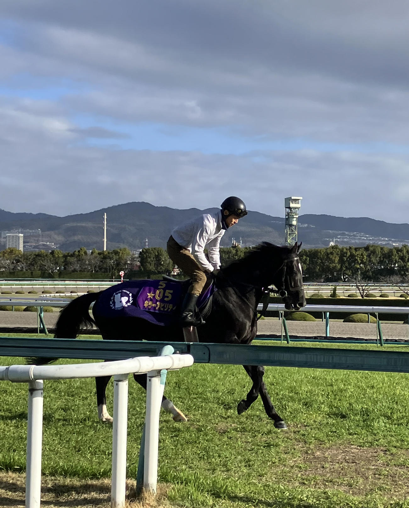 大阪杯】キラーアビリティ阪神芝で軽快に12秒0、柘植助手「満足の動き