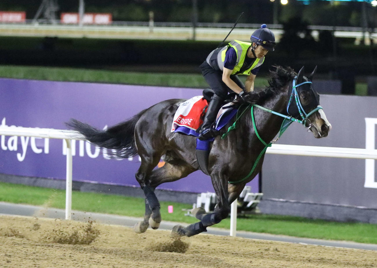 ドバイワールドCに向けてメイダン競馬場のダートコースで追い切られたドゥラエレーデ（撮影・桑原幹久）