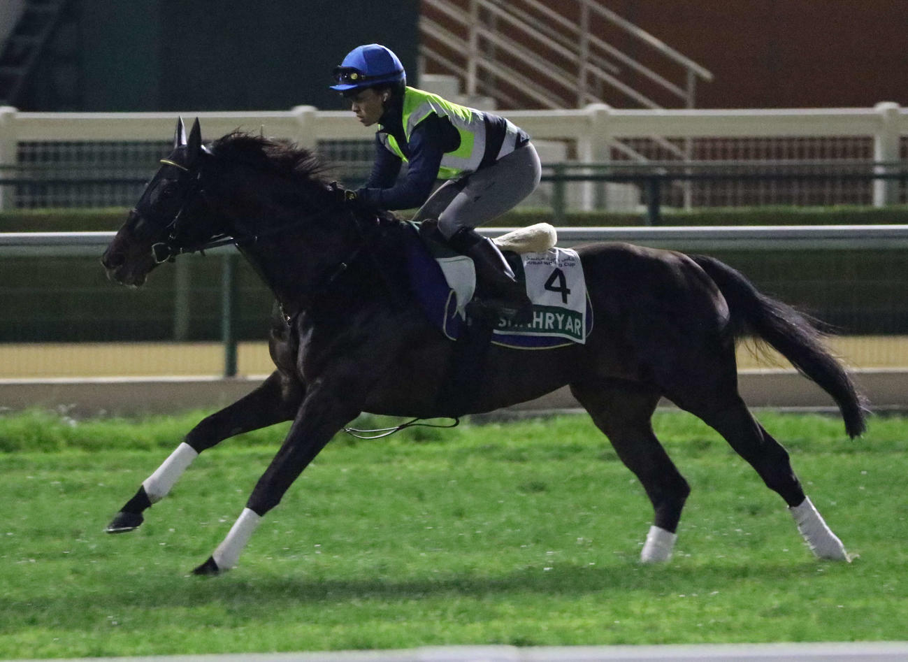 ドバイシーマCに向けてメイダン競馬場の芝コースで追い切られたシャフリヤール（撮影・桑原幹久）