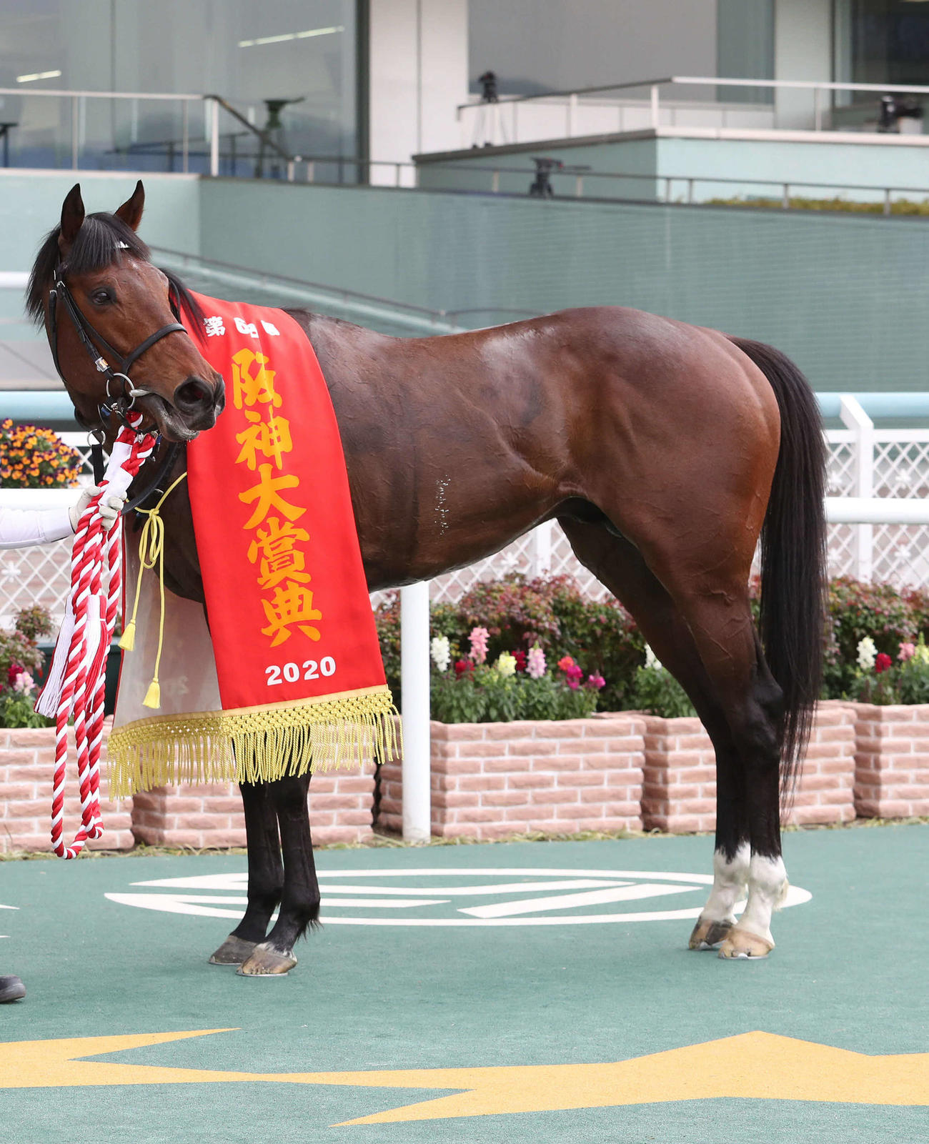 20年、阪神大賞典を制したユーキャンスマイル