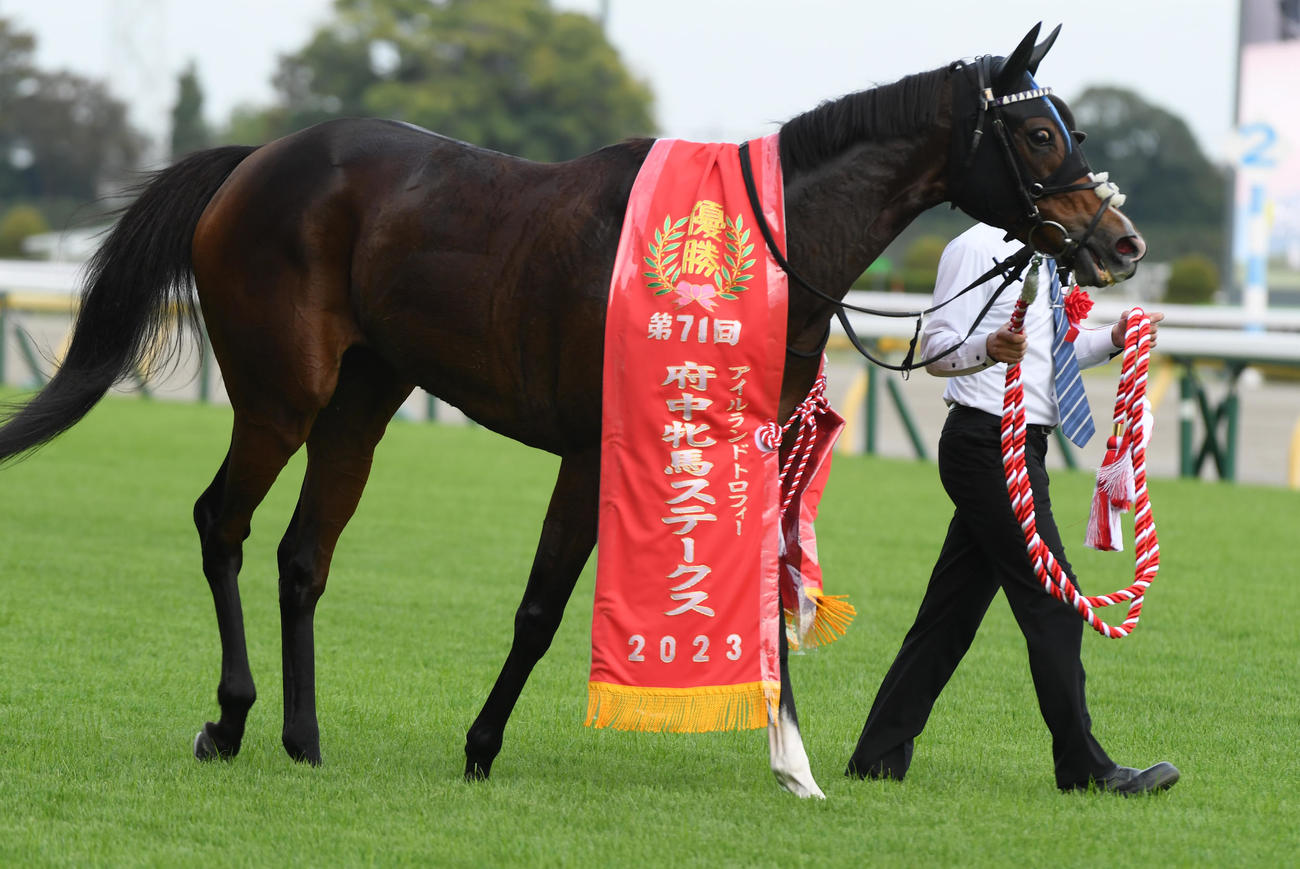 23年、府中牝馬Sを制したディヴィーナ