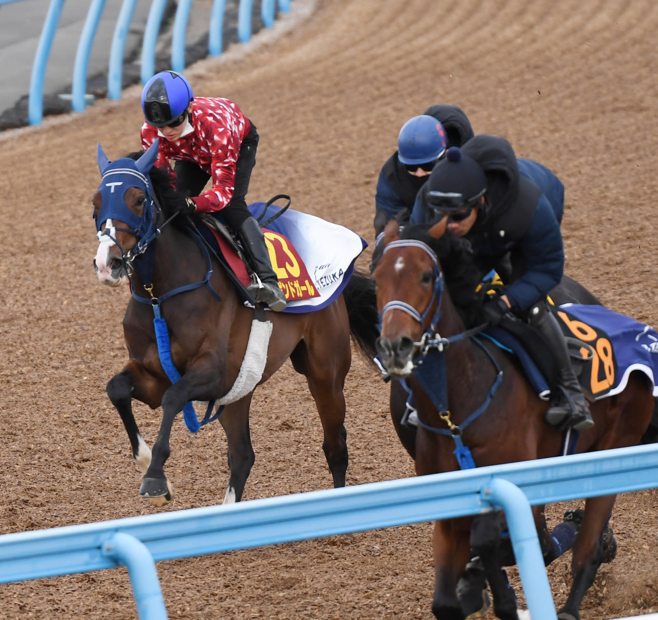 鮫島克駿騎手を背にボンドガール（左）はショーマンフリート（右）、ヤングローゼスと併せて追い切る