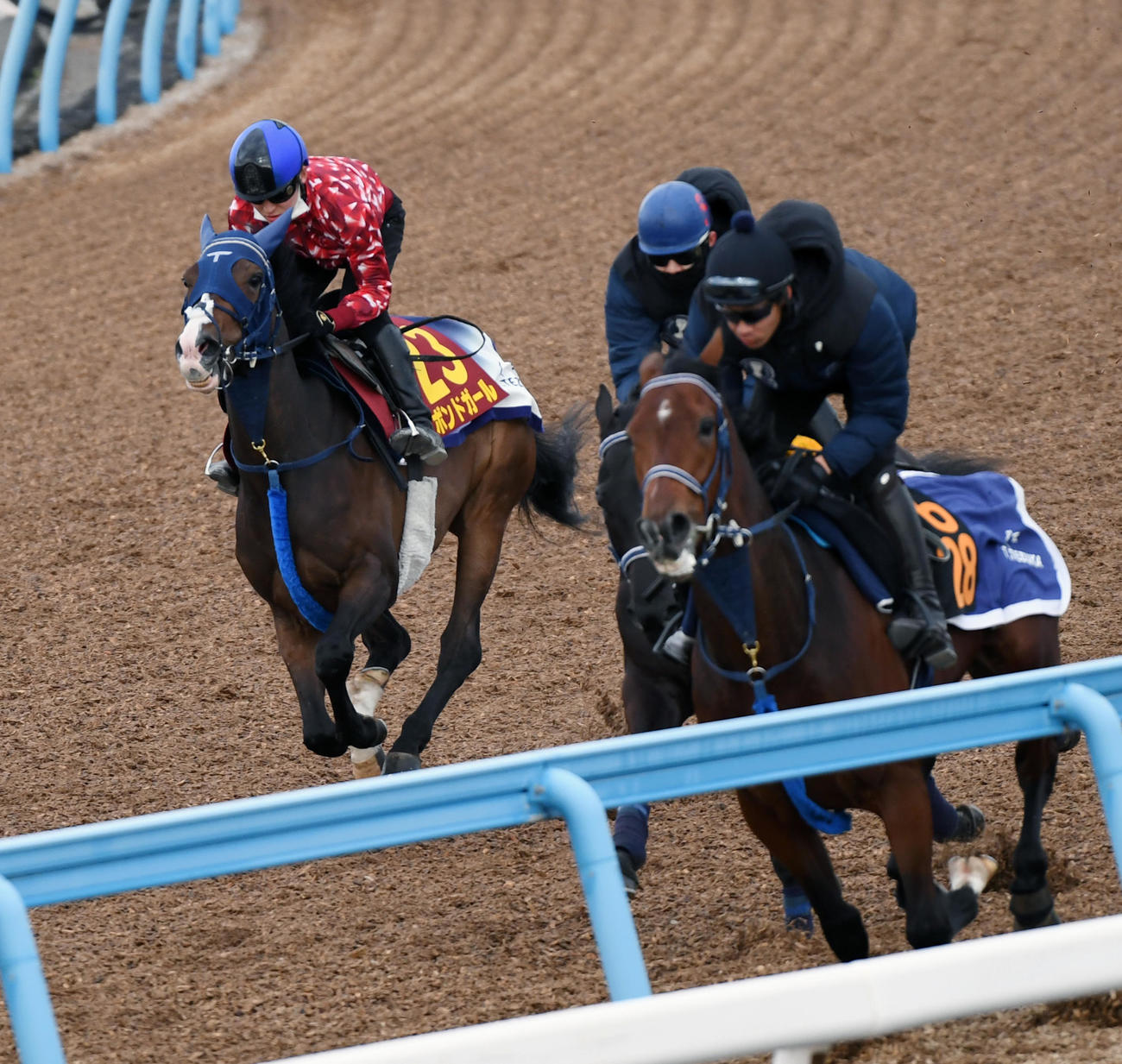 鮫島克駿騎手を背にボンドガール（左）はショーマンフリート（右）、ヤングローゼスと併せて追い切る