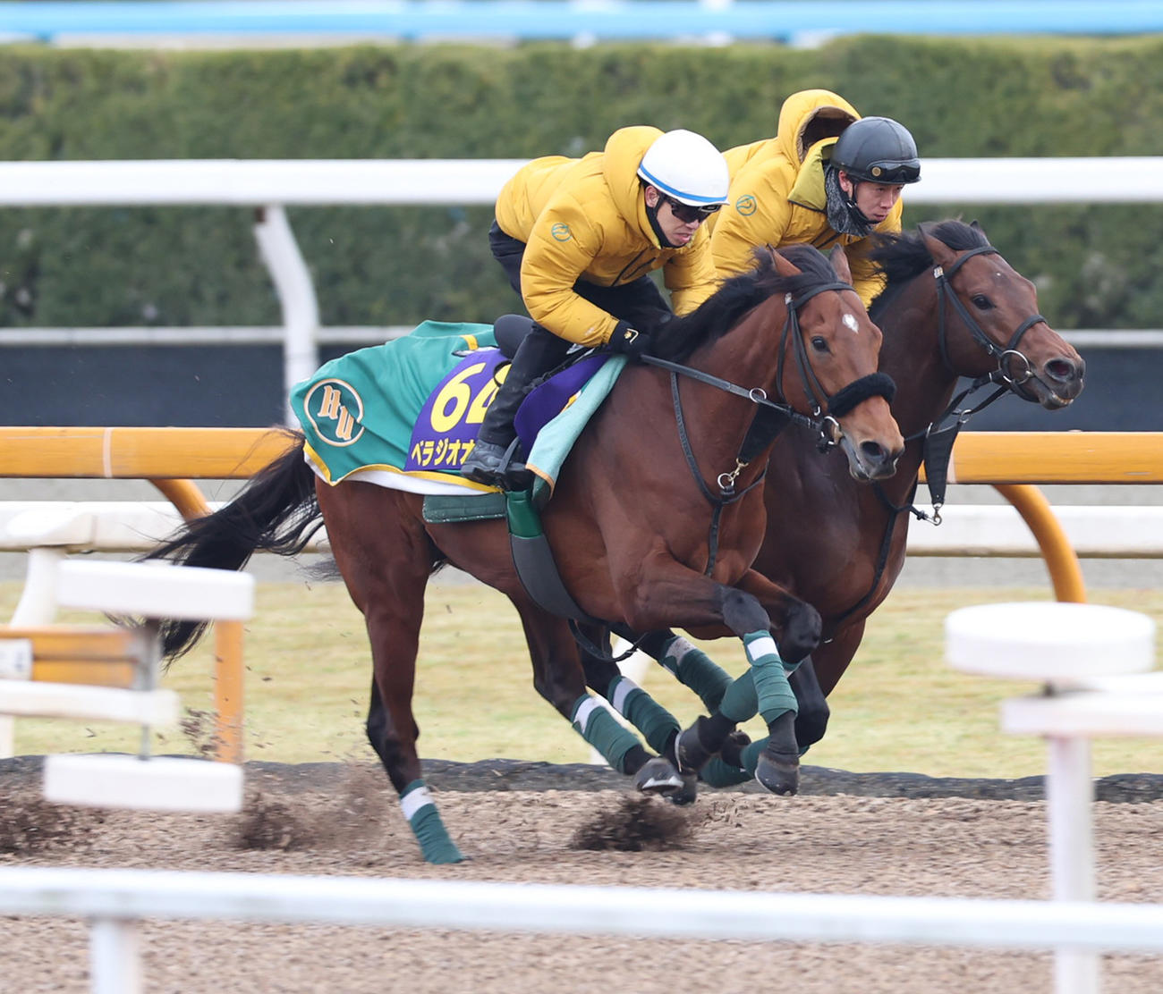 Cウッドコースを併せ馬で追い切るベラジオオペラ（左）