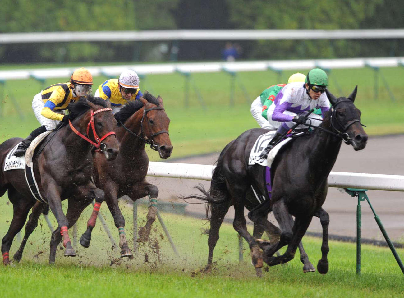 09年ダービー2着のリーチザクラウン（右）、左から2頭目は勝ったロジユニヴァース