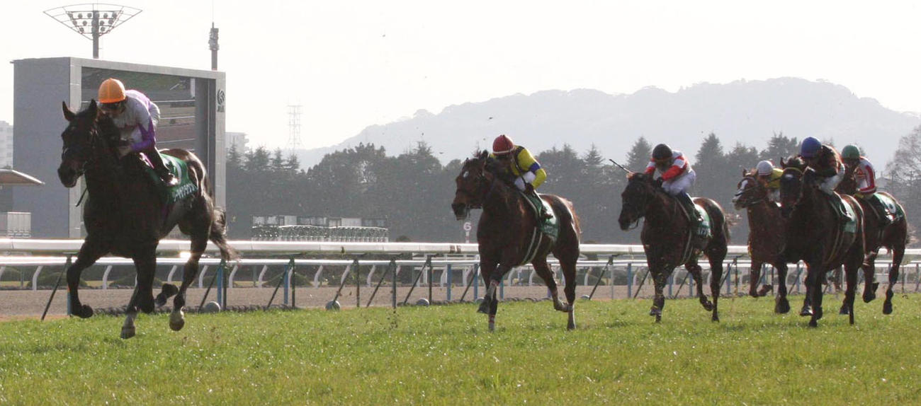 09年きさらぎ賞で3馬身半差をつけ完勝したリーチザクラウン