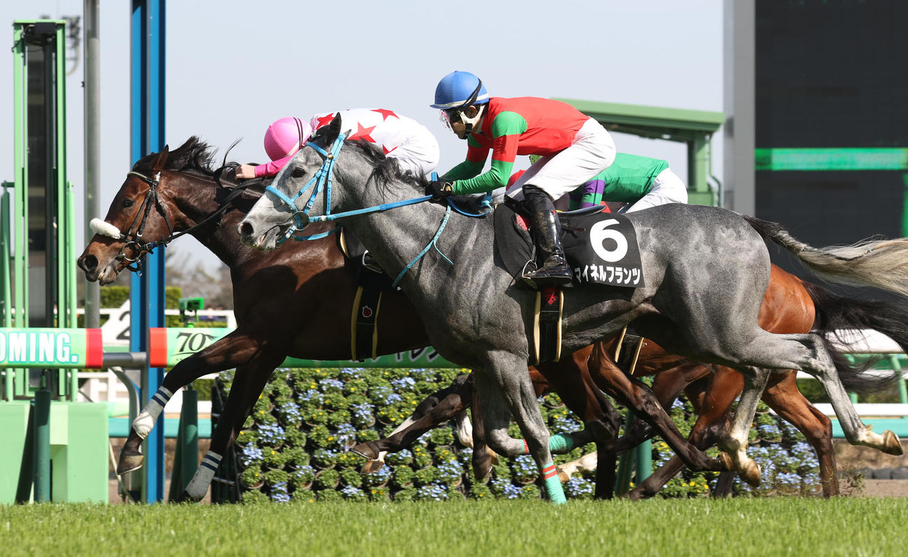 中山9R山吹賞を制したダイシンアポロン（奥）と2着マイネルフランツ（撮影・柴田隆二）
