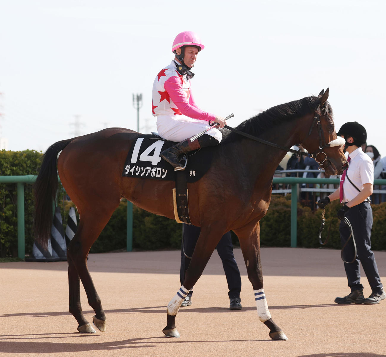 中山9R、山吹賞を制したダイシンアポロンとミルコ・デムーロ騎手（撮影・柴田隆二）