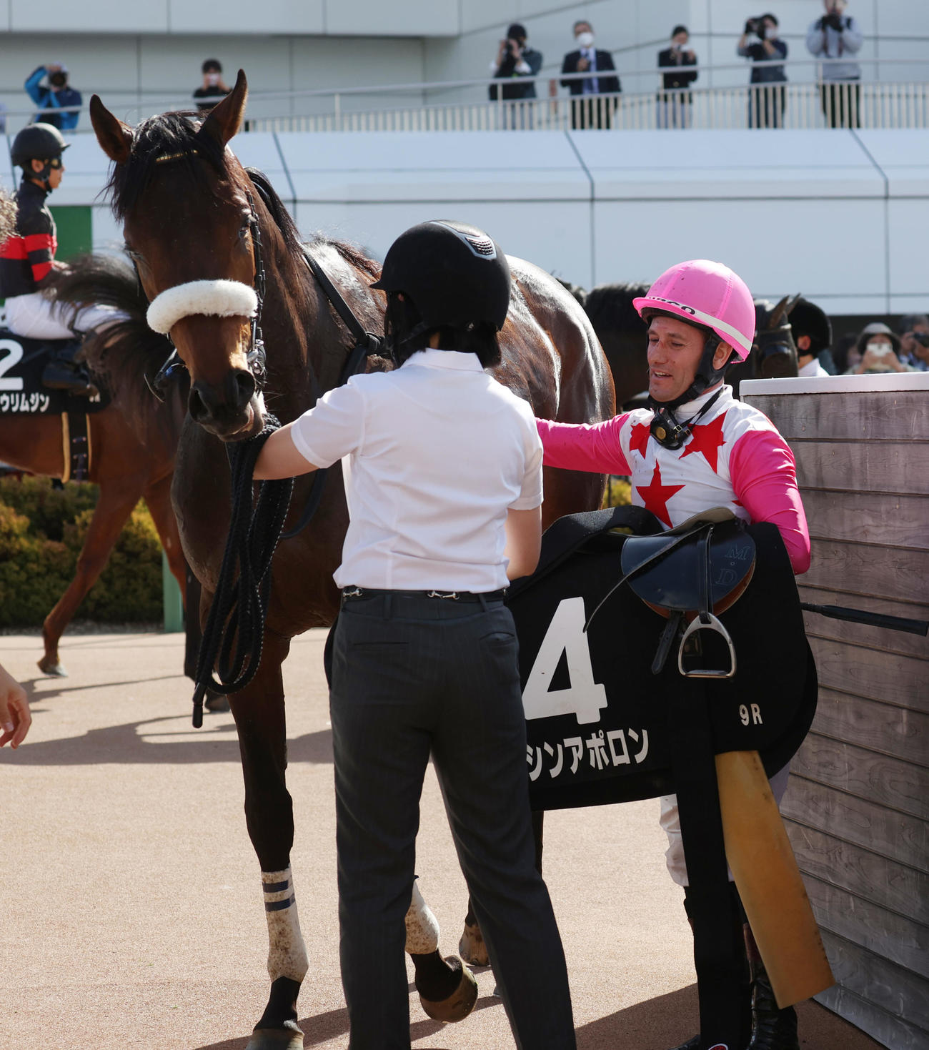 中山9R山吹賞を制したダイシンアポロンとミルコ・デムーロ騎手（撮影・柴田隆二）