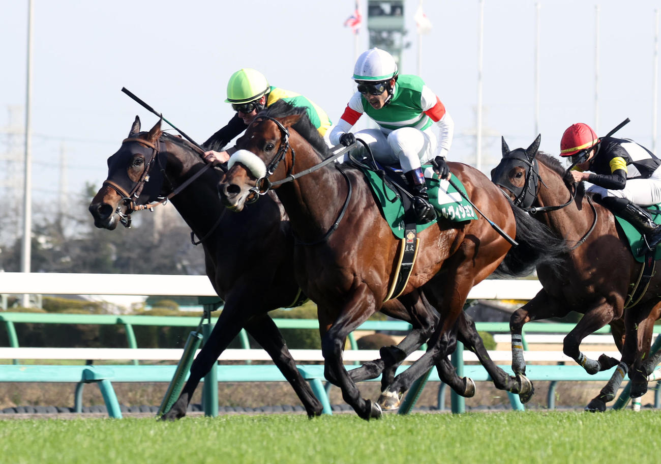 ダービー卿CTを制したパラレルヴィジョン（右）、2着エエヤン（左）（撮影・柴田隆二）