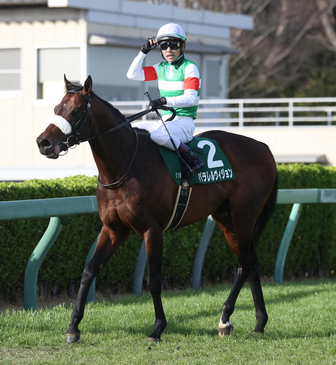 ダービー卿CTを制したパラレルヴィジョンと戸崎騎手（撮影・柴田隆二）