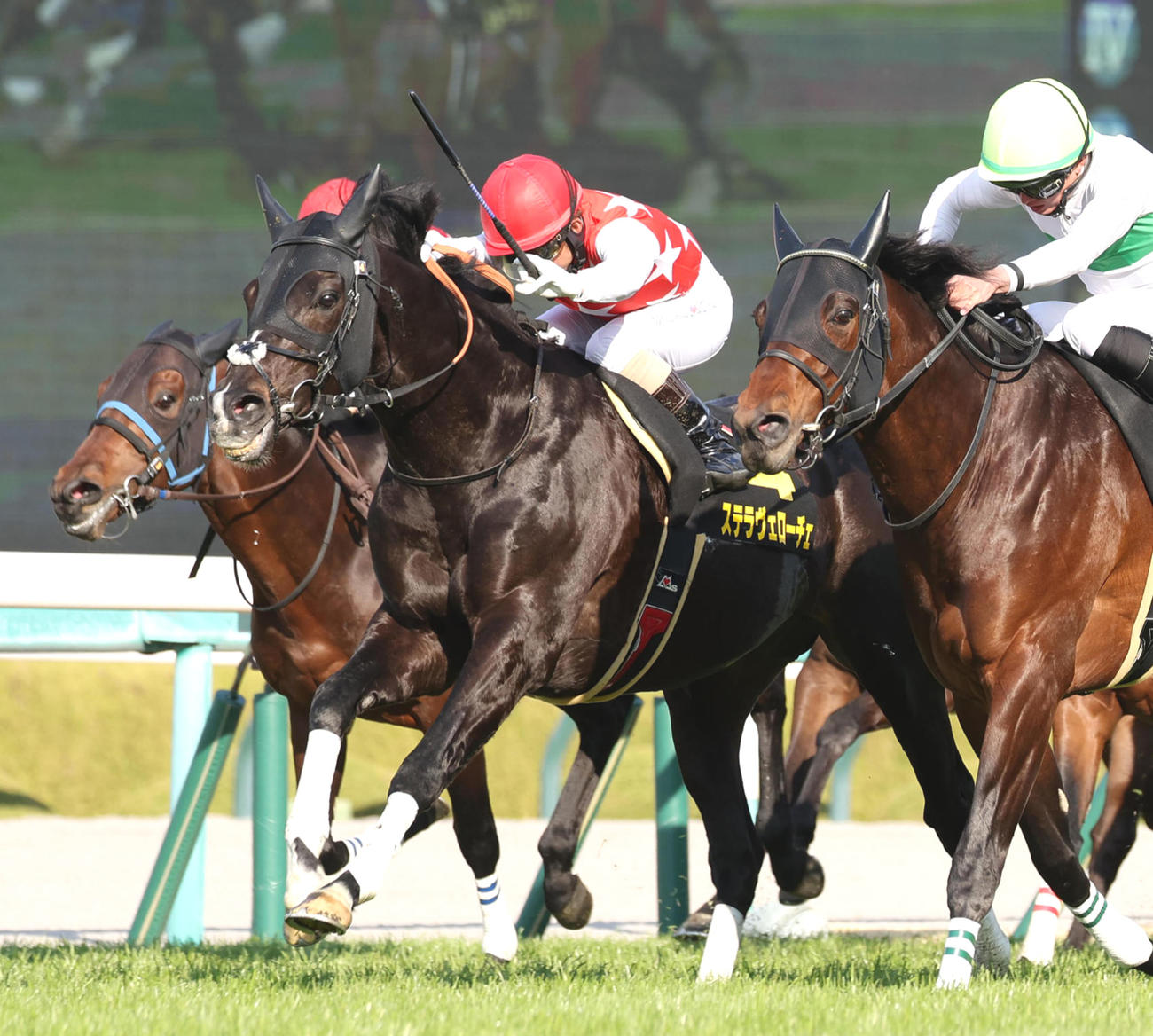 3日、大阪城Sを制したステラヴェローチェ