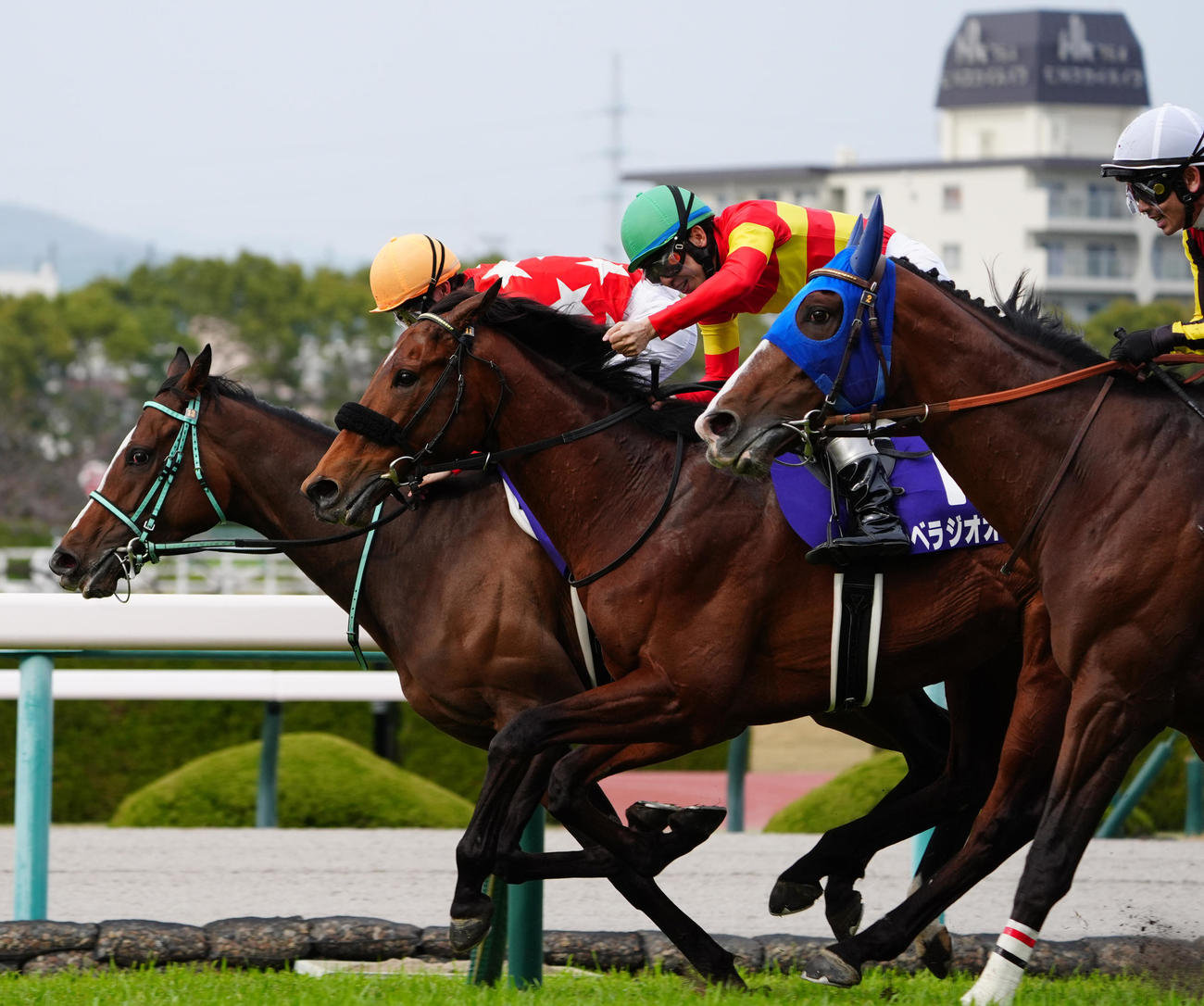 阪神11R、中央から抜けだしG1大阪杯を制したベラジオオペラと喜ぶ横山和騎手（撮影・清水貴仁）