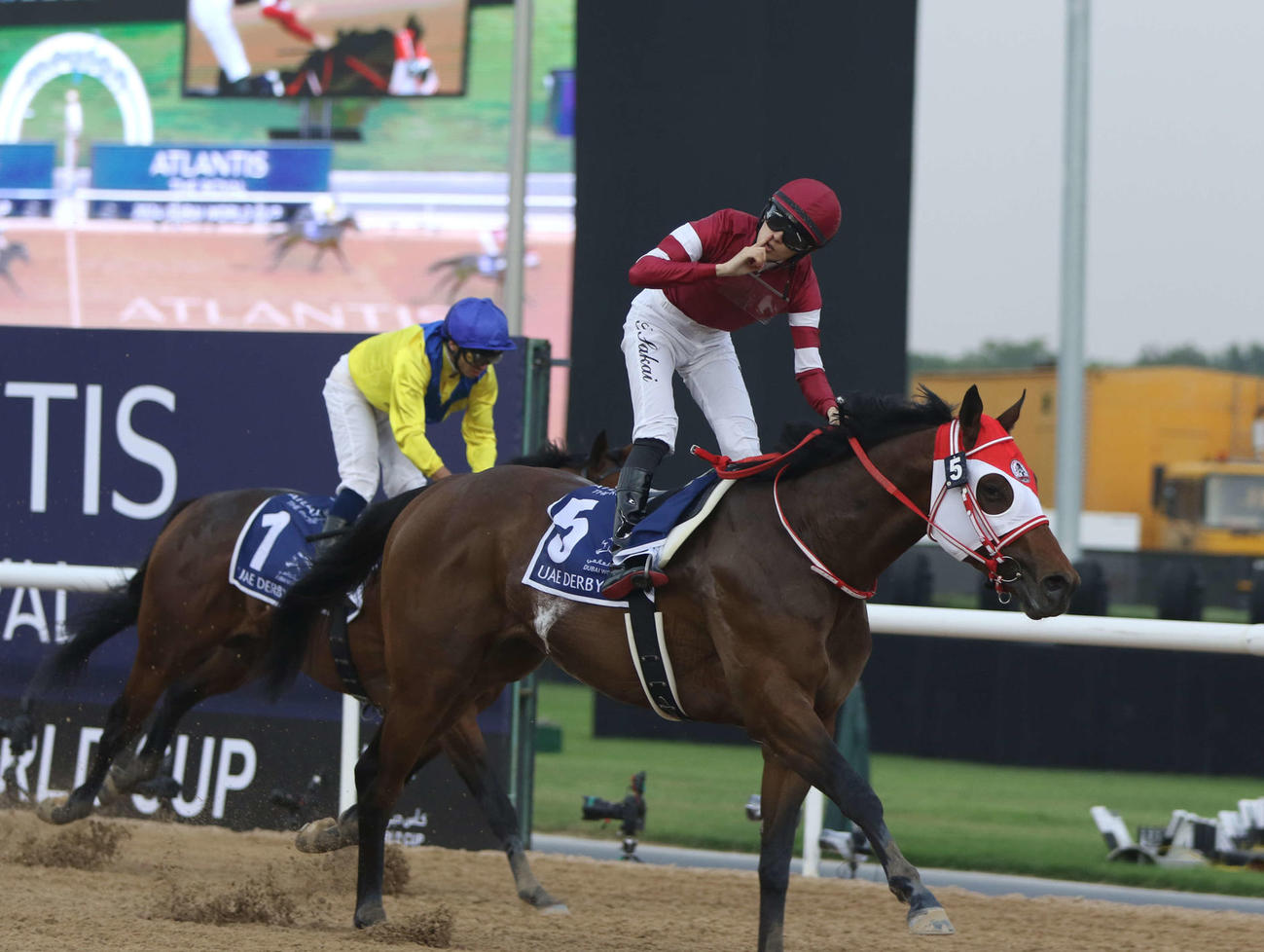 UAEダービーを勝利したフォーエバーヤング（撮影・桑原幹久）