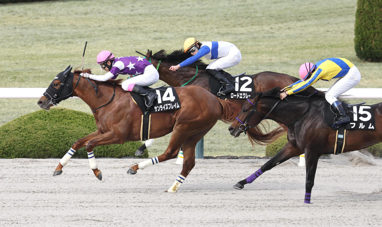 直線鋭く伸びてポラリスSを制したサンライズフレイム（左）（撮影・白石智彦）