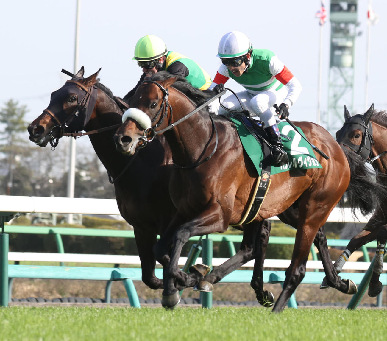 ゴール前で差し切りダービー卿CTを制したパラレルヴィジョン（右）、左は2着エエヤン（撮影・柴田隆二）