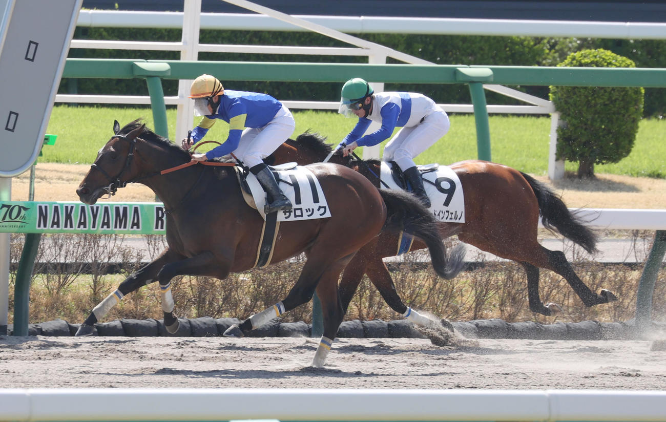 中山1R、初勝利したザロック（左）の石神道騎手、2着ロードインフェルノ（撮影・柴田隆二）