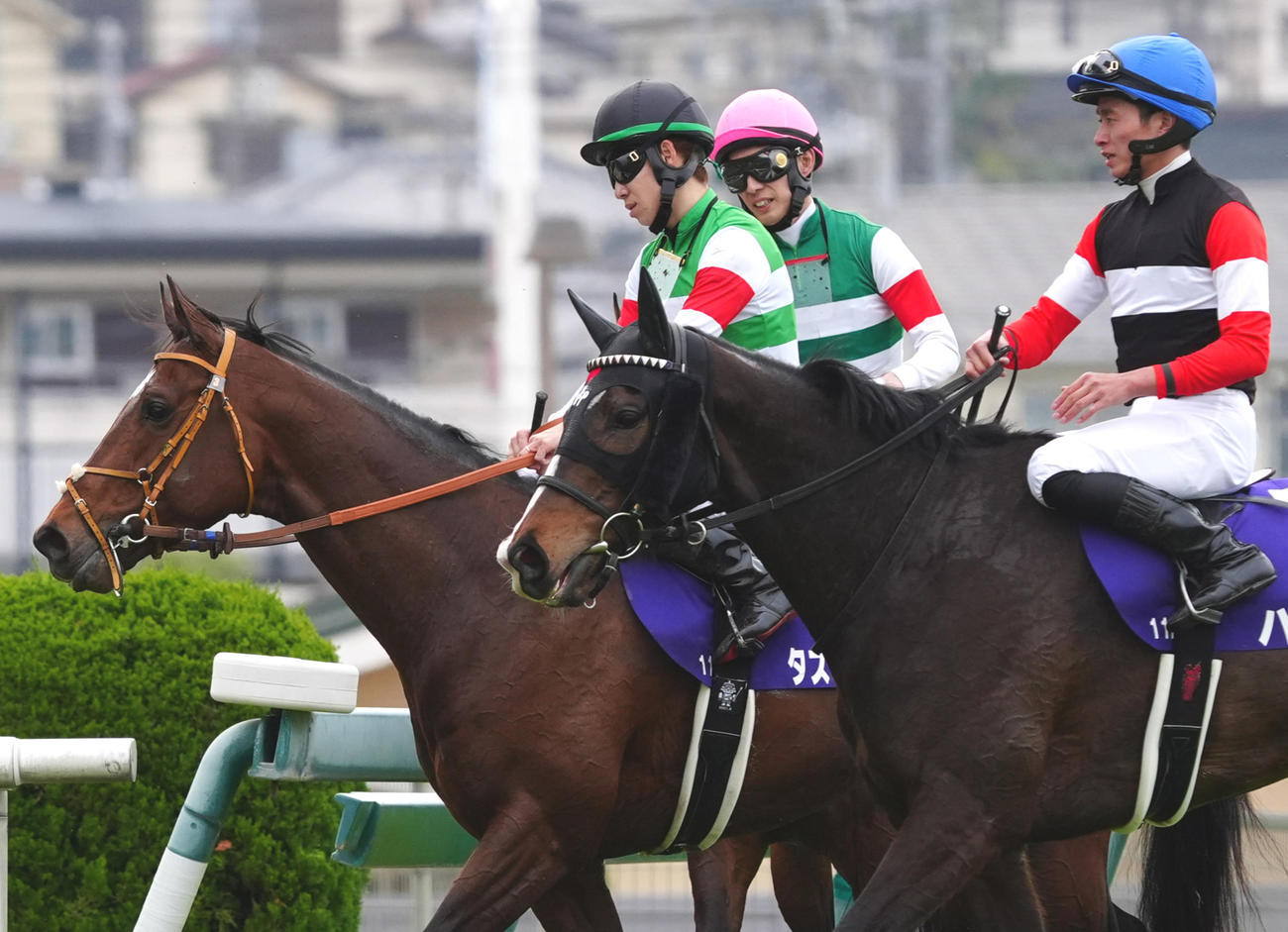 大阪杯11着に沈んだタスティエーラ（左）（撮影・清水貴仁）