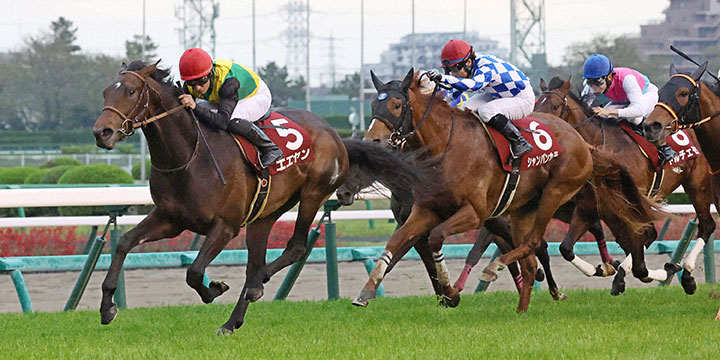 直線鋭く伸びてニュージーランドTを制したエエヤンとM.デムーロ騎手（左）。中央は3着シャンパンカラー（撮影・丹羽敏通）＝2023年4月8日、中山競馬場
