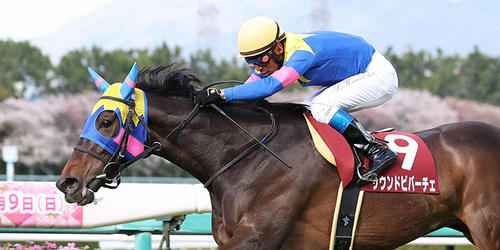 直線で伸びたサウンドビバーチェが阪神牝馬Sを快勝した(撮影・白石智彦)=2023年4月8日、阪神競馬場