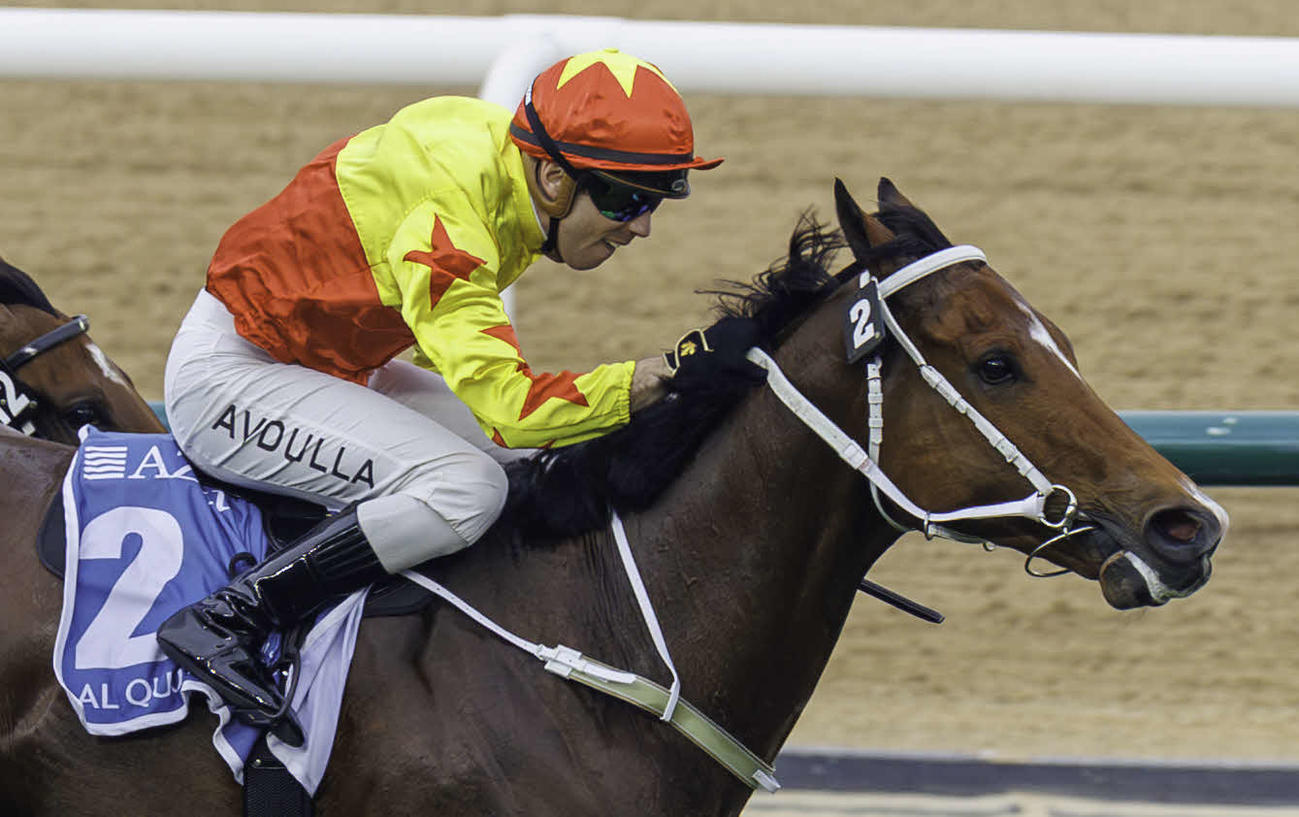 アルクオーツスプリントを制したカリフォルニアスパングル（C）Dubai Racing Club