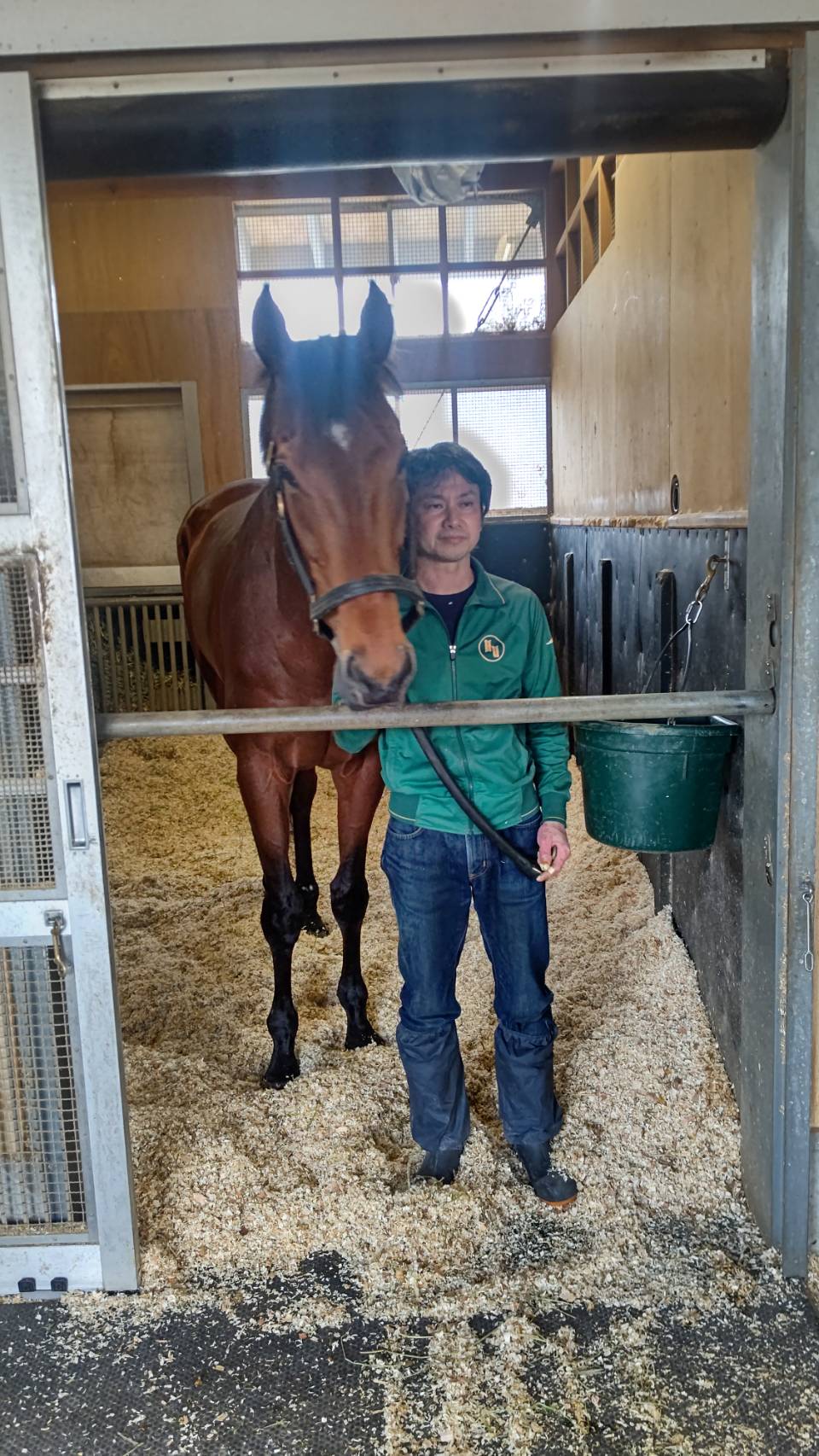 大阪杯制覇から一夜明け、馬房でくつろぐベラジオオペラ