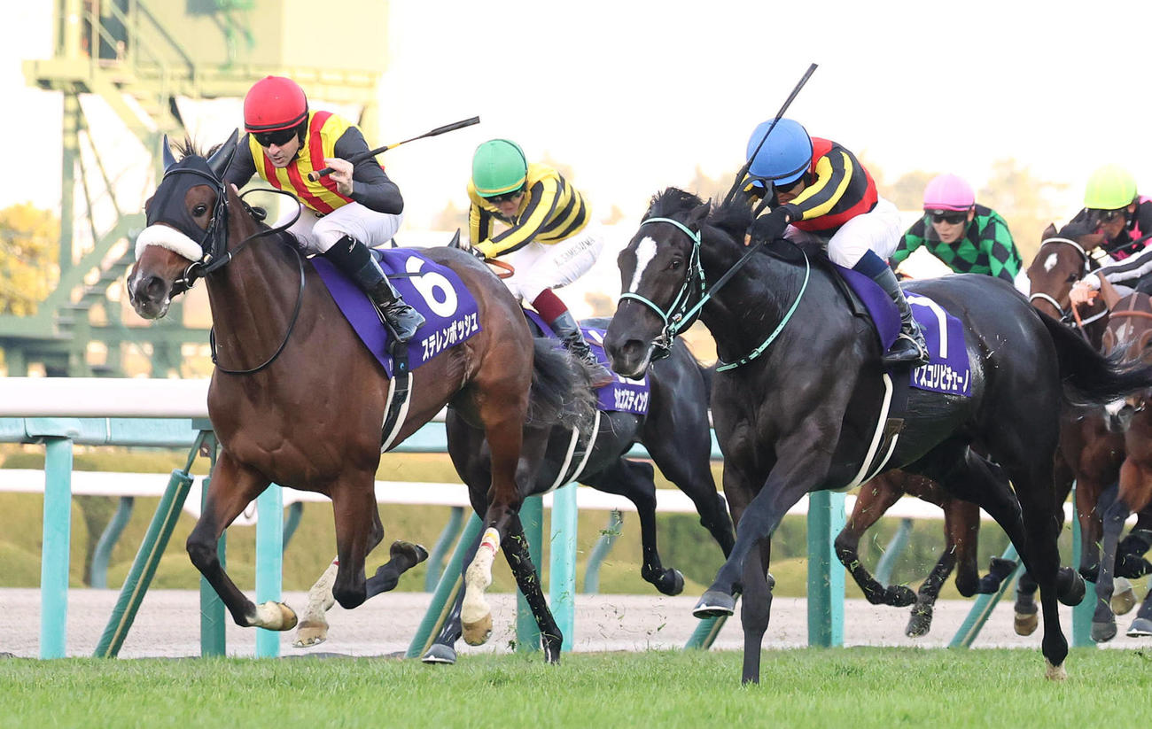 23年阪神JF2着に敗れたステレンボッシュ（左）。右は勝ったアスコリピチェーノ