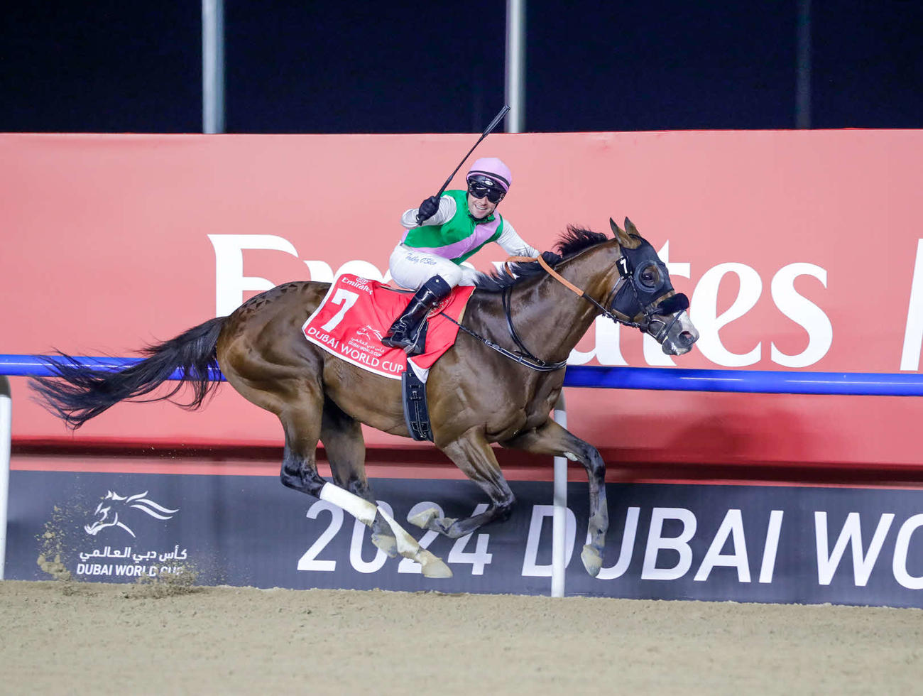 ドバイワールドカップを圧勝したローレルリバー（（C）Dubai Racing Club）