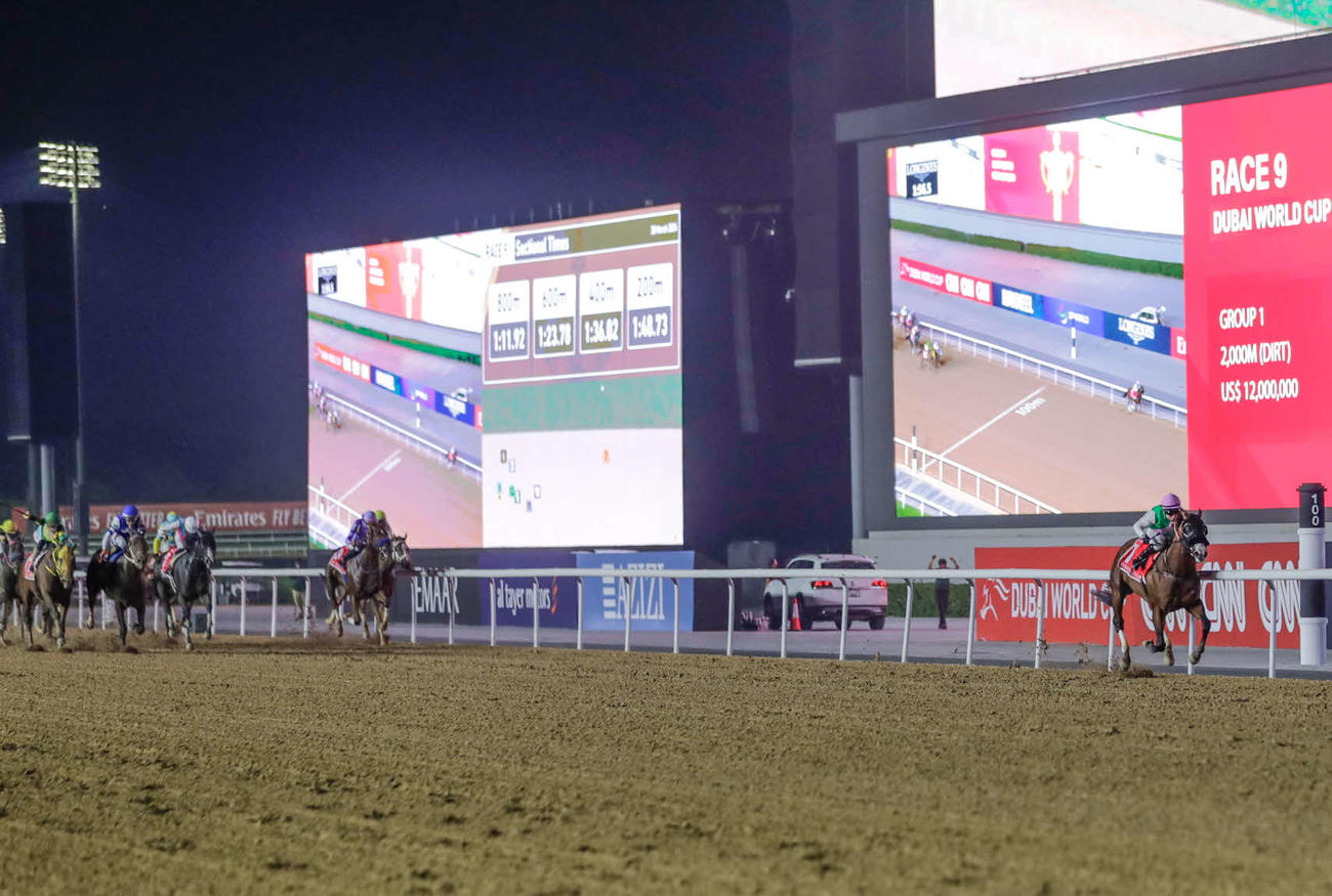 ドバイワールドカップを圧勝したローレルリバー（（C）Dubai Racing Club）
