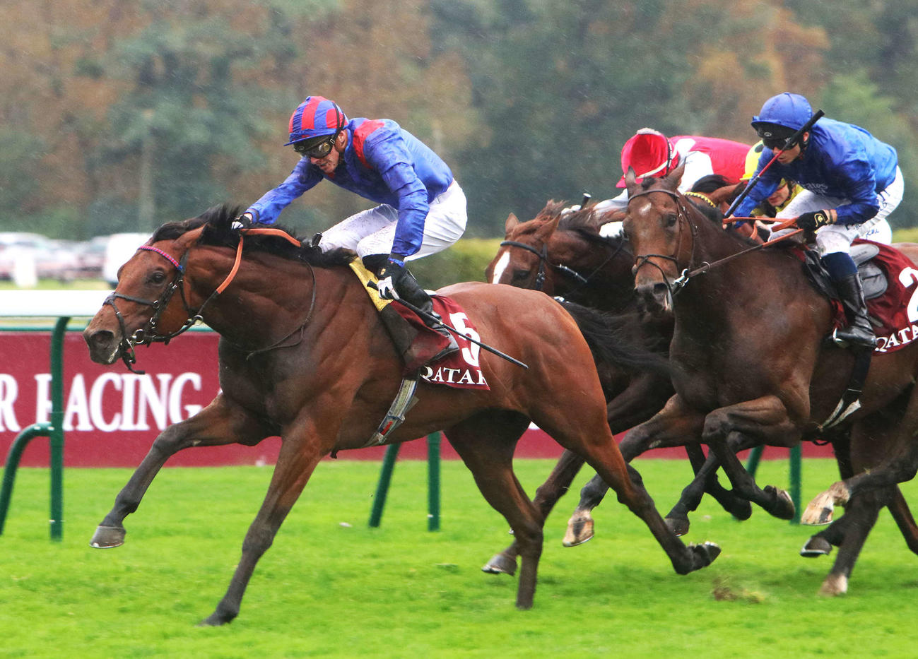 ドバイオナー（C）The Hong Kong Jockey Club