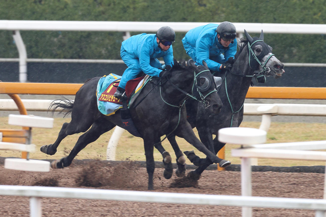 フェブランシェ（右）と馬体を併せて時計を出したアスコリピチェーノ