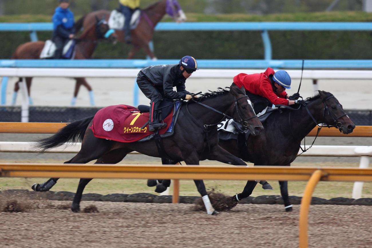 川田騎手が騎乗し、CWコースでダノントルネード（右）と併せ馬で時計を出したクイーンズウォーク