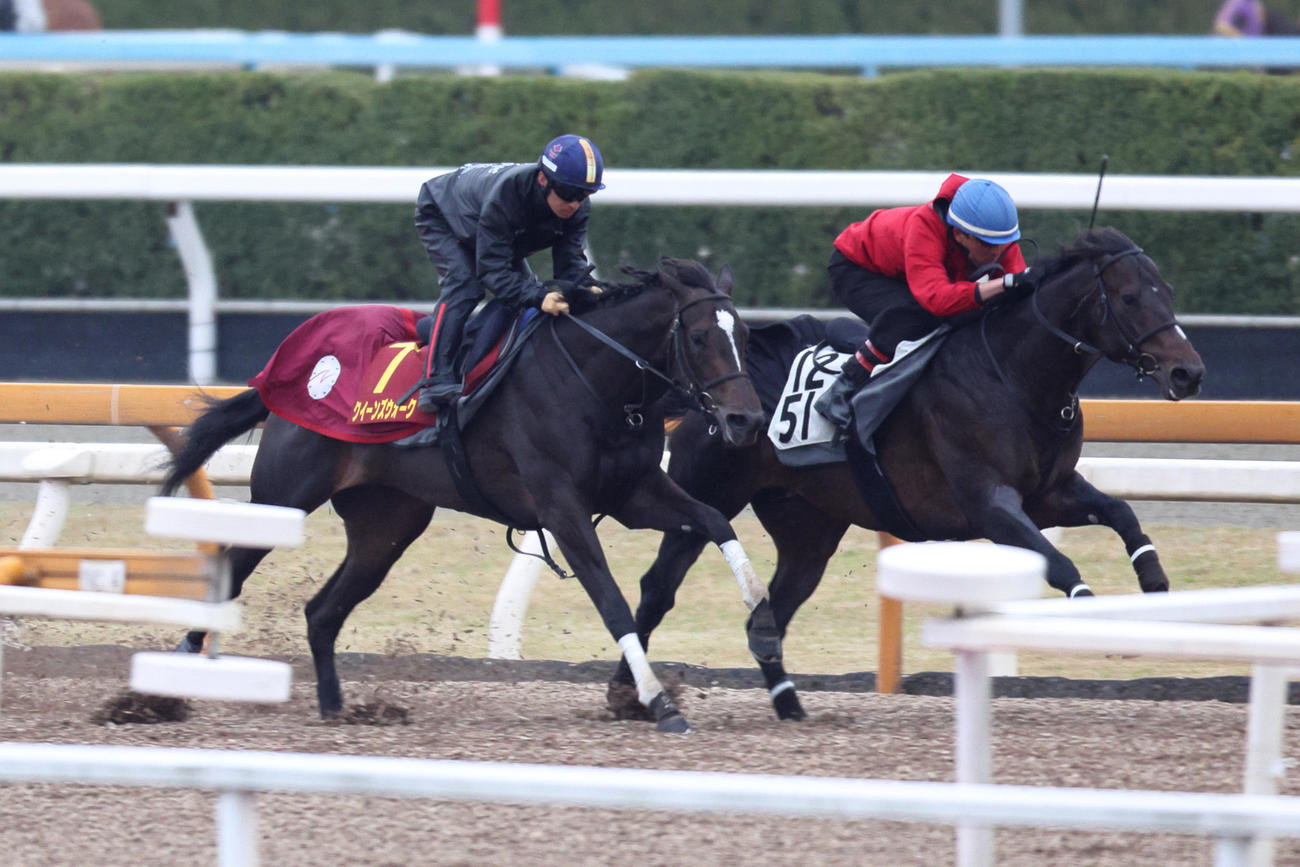 川田騎手が騎乗し、CWコースでダノントルネード（右）と併せ馬で時計を出したクイーンズウォーク