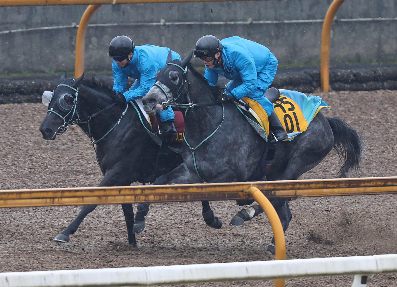 3日、フェブランシェ（右）と併せ馬で追い切るアスコリピチェーノ