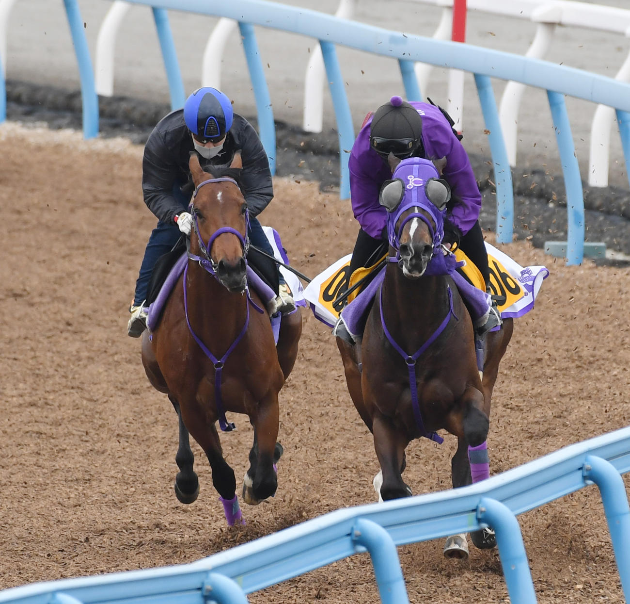オーサムストローク（左）はスズカコーズと併せて追い切る（撮影・柴田隆二）