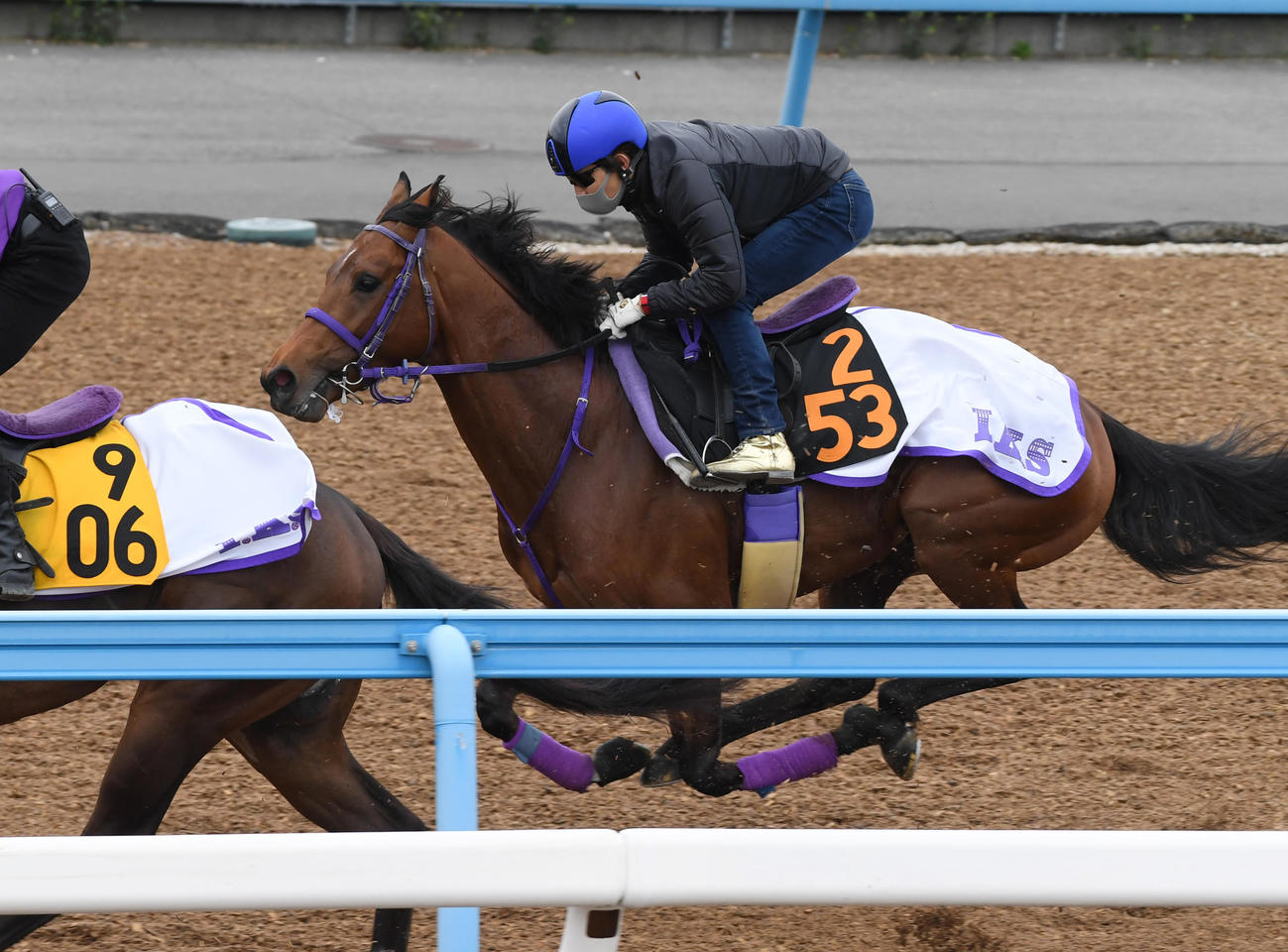 オーサムストロークはスズカコーズと併せて追い切る（撮影・柴田隆二）
