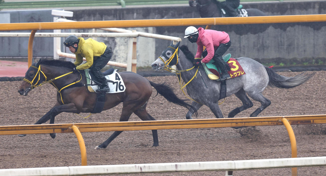 藤岡康太騎手に背にCウッドをガンウルフ（左）と併せ馬で追い切るエトヴプレ（撮影・白石智彦）