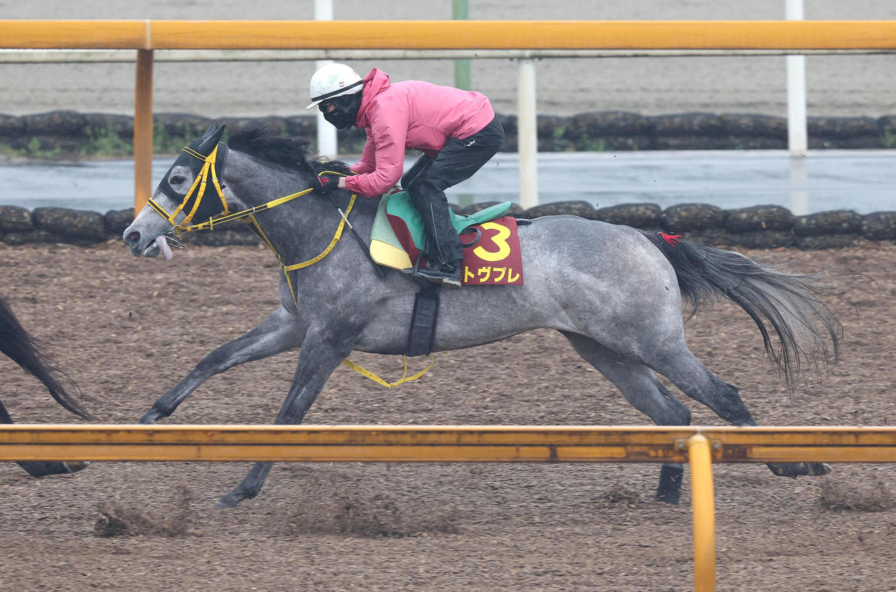 藤岡康太騎手に背にCウッドを併せ馬で追い切るエトヴプレ（撮影・白石智彦）